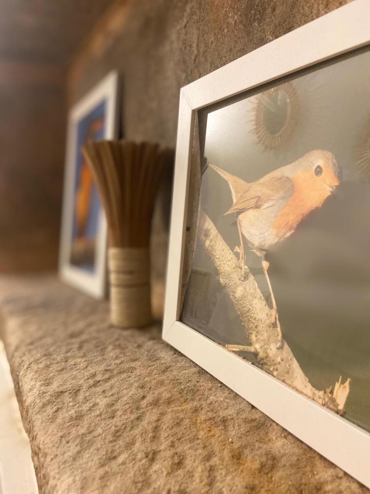 フィゲイラ・デ・カステロ・ロドリゴ Casa Da Cisternaゲストハウス エクステリア 写真